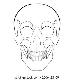 Human skull front one line drawing on white isolated background