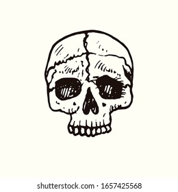 Human skull front view, hand drawn doodle, drawing, sketch illustration, design element