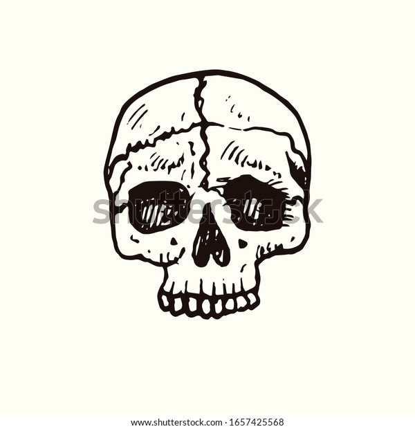 人間の頭蓋骨の正面図 手描きの落書き 図面 スケッチイラスト デザインエレメント のベクター画像素材 ロイヤリティフリー