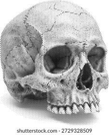 Vista frontal del cráneo humano en estilo monótono de medio tono para diseños de anatomía y horror