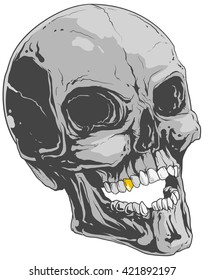 Human skull with gold tooth