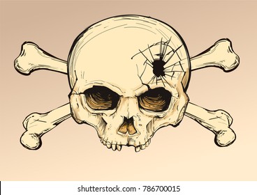 Human skull. Graphic Art. Vector Illustration.