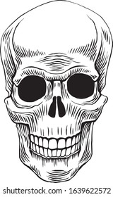 Human skull. Graphic illustration vector. Tattoo style.