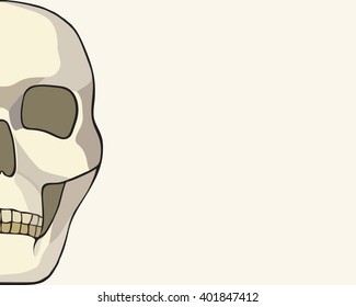 human skull or grim reaper deaths head illustration, vector