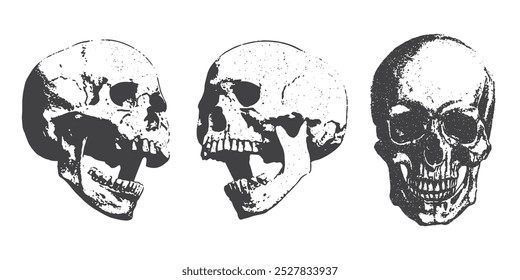 Crânio humano com efeito de meio-tom pontilhado, para grunge punk y2k projeto de colagem. Estilo de arte pop meio-tom stipple brutalista elementos de design retro
