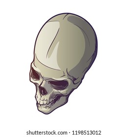 Human Skull hand drawing. Top angle. Linear drawing painted in 3 shades, isolated on white background. EPS10 vector illustration