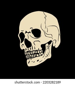 Human skull. Hand drawn engraved style vector vintage illustration. Isolated on black background.