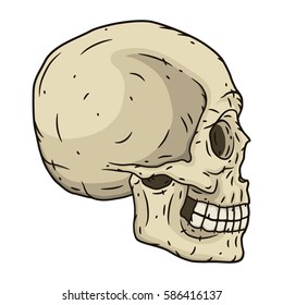 Human skull  in hand drawn style. Vector skull. Cartoon skull. Skull logo.