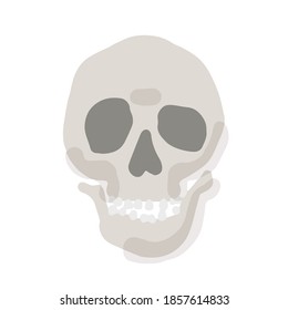 Human skull; Hand drawn vector illustration like woodblock print
