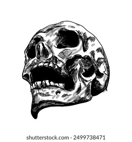 Human skull hand sketch - vector illustration