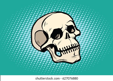 human skull head skeleton. Pop art retro vector illustration