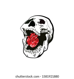 A human skull with heart on white background