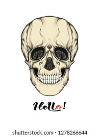 Human Skull  with hello slogan.  Good for print on T-shirts, bags,  covers.  Vector illustration.