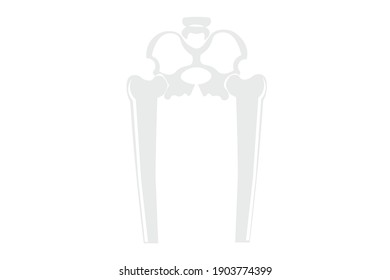 Human Skull Hip Vector Illustration