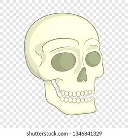 Human skull icon in cartoon style on a background for any web design 