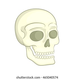 Human skull icon in cartoon style on a white background