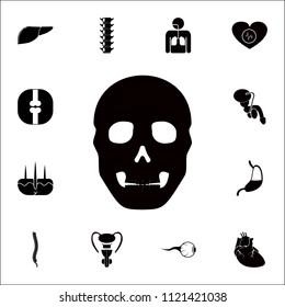 human skull icon. Detailed set of Human parts icons. Premium quality graphic design sign. One of the collection icons for websites, web design, mobile app on colored background