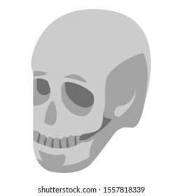 Human skull icon. Isometric of human skull vector icon for web design isolated on white background