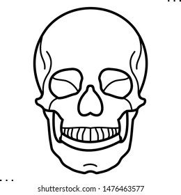 Human skull icon in outline style 