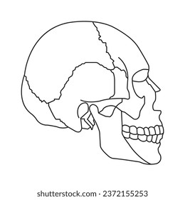 Human skull icon vector illustration symbol design