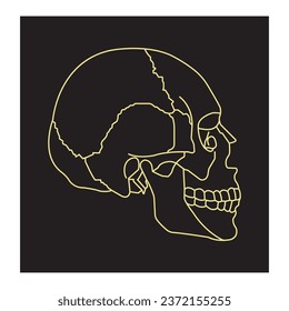 Human skull icon vector illustration symbol design