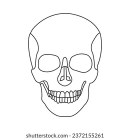 Human skull icon vector illustration symbol design