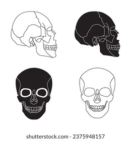 Human skull icon vector illustration symbol design