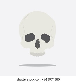 Human skull icon, vector illustration design. Medicine and health care objects.