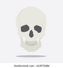 Human skull icon, vector illustration design. Medicine and health care objects.