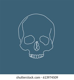 Human skull icon, vector illustration design. Medicine and health care objects.