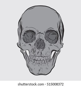 A human skull illustrated in vector format in a rough sketchy style.