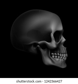 The Human Skull. Illustration for Medicine, Science or for a Game Design on Black Background