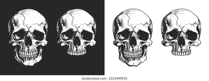 Human skull illustration. Monochrome hand-drawn skulls set on white and black backgrounds. Vector.
