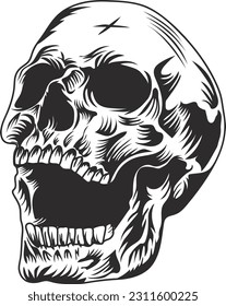 human skull illustration  on white background