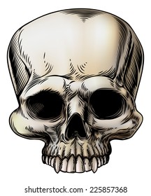 Human skull illustration in a retro vintage style