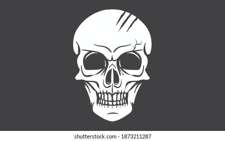 human skull illustration., vector eps10