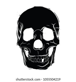 A human skull illustration in vector format.