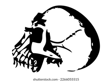 human skull illustrations on white background.