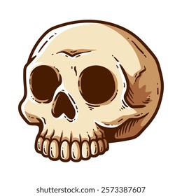 human skull isolated colored drawing line art style sketch classic vintage design illustration