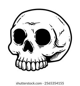 human skull isolated drawing line art style sketch classic vintage design illustration