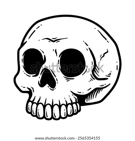 human skull isolated drawing line art style sketch classic vintage design illustration