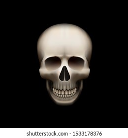 Human skull isolated on black, color object. Vector illustration