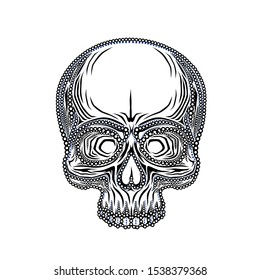 Human skull isolated on black, color object. Vector illustration