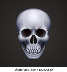 Human skull isolated on black . Vector illustration