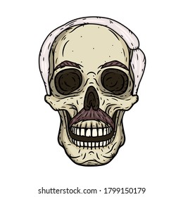 Human skull isolated on white background