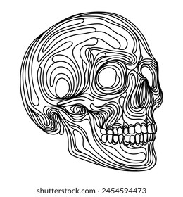 human skull line art black and white illustration