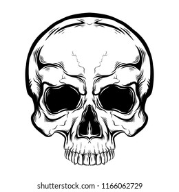 Human skull, line art, tattoo sketch on a white background. Print, illustration