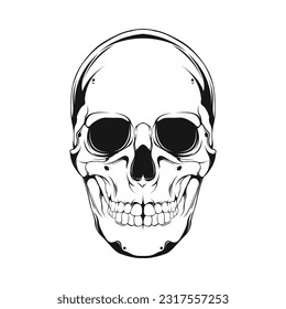 Human Skull Line Art Vector Illustration