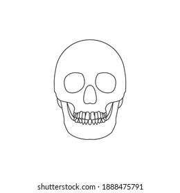 Human Skull Line Icon Isolated On White Background. Vector Illustration