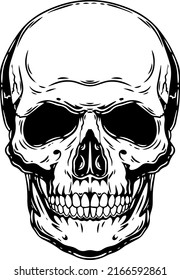 A human skull. Linear ink illustration.
